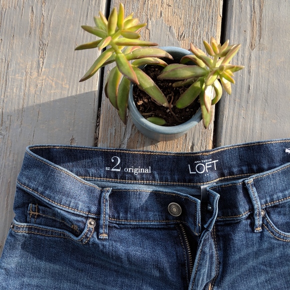 NWOT Loft Shorts - Picture 2 of 3